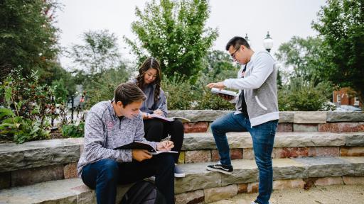 Students studying on campus