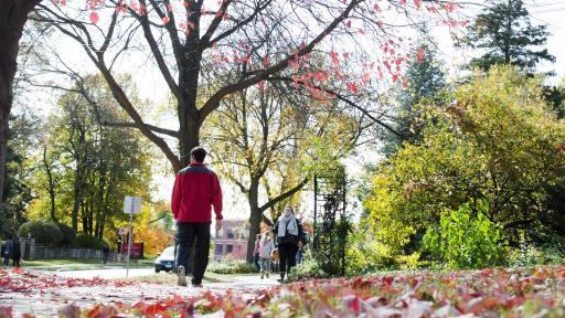 north cental college campus in fall